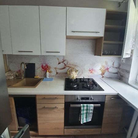 Ferienwohnung Stella4 Sanok Exterior foto